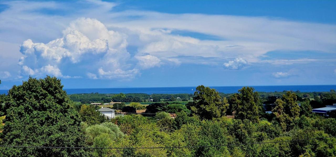 Villa Bistinetti Rez De Villa Tout Confort Avec Piscine Penta di Casinca Exteriér fotografie